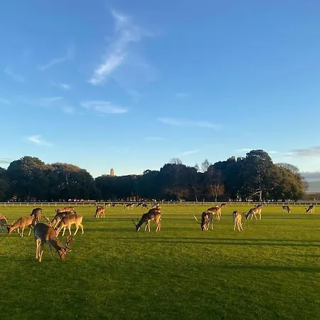 Stylish 20 Mins From * Dublin